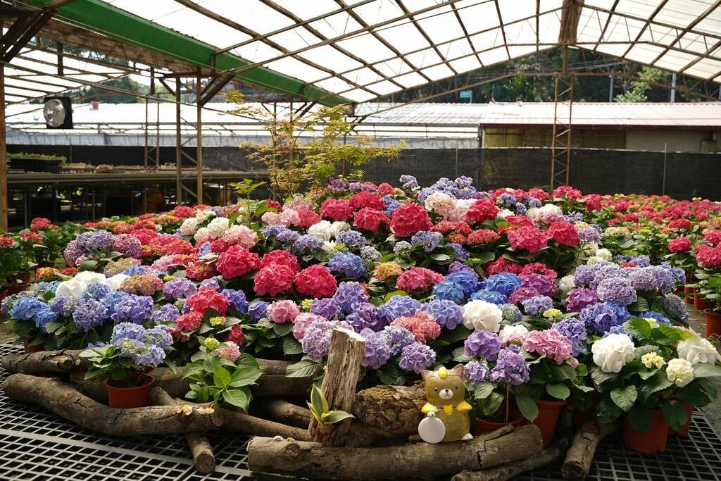 flower.jpg flower.jpg