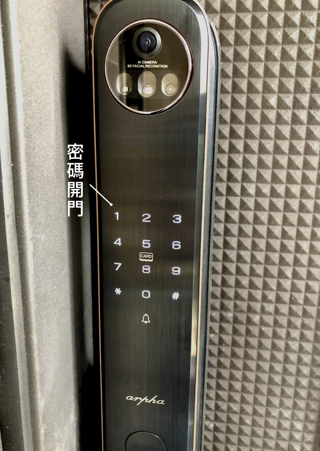 人臉辨識智慧電子鎖!遠端開門、貓眼監控、解放雙手,從此不用帶 人臉辨識智慧電子鎖!遠端開門、貓眼監控、解放雙手,從此不用帶