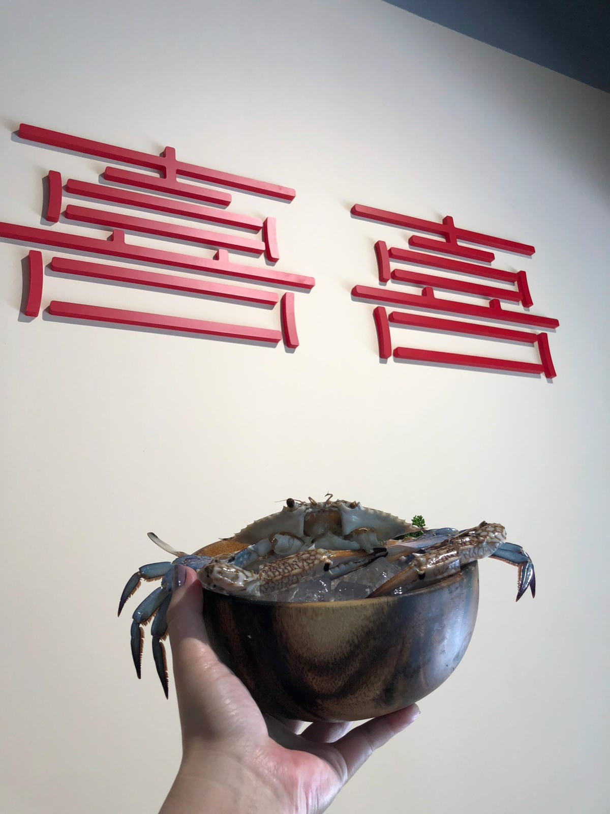 (已停業)桃園藝文特區:和牛火鍋壽喜燒799吃到飽!喜喜鍋 (已停業)桃園藝文特區:和牛火鍋壽喜燒799吃到飽!喜喜鍋