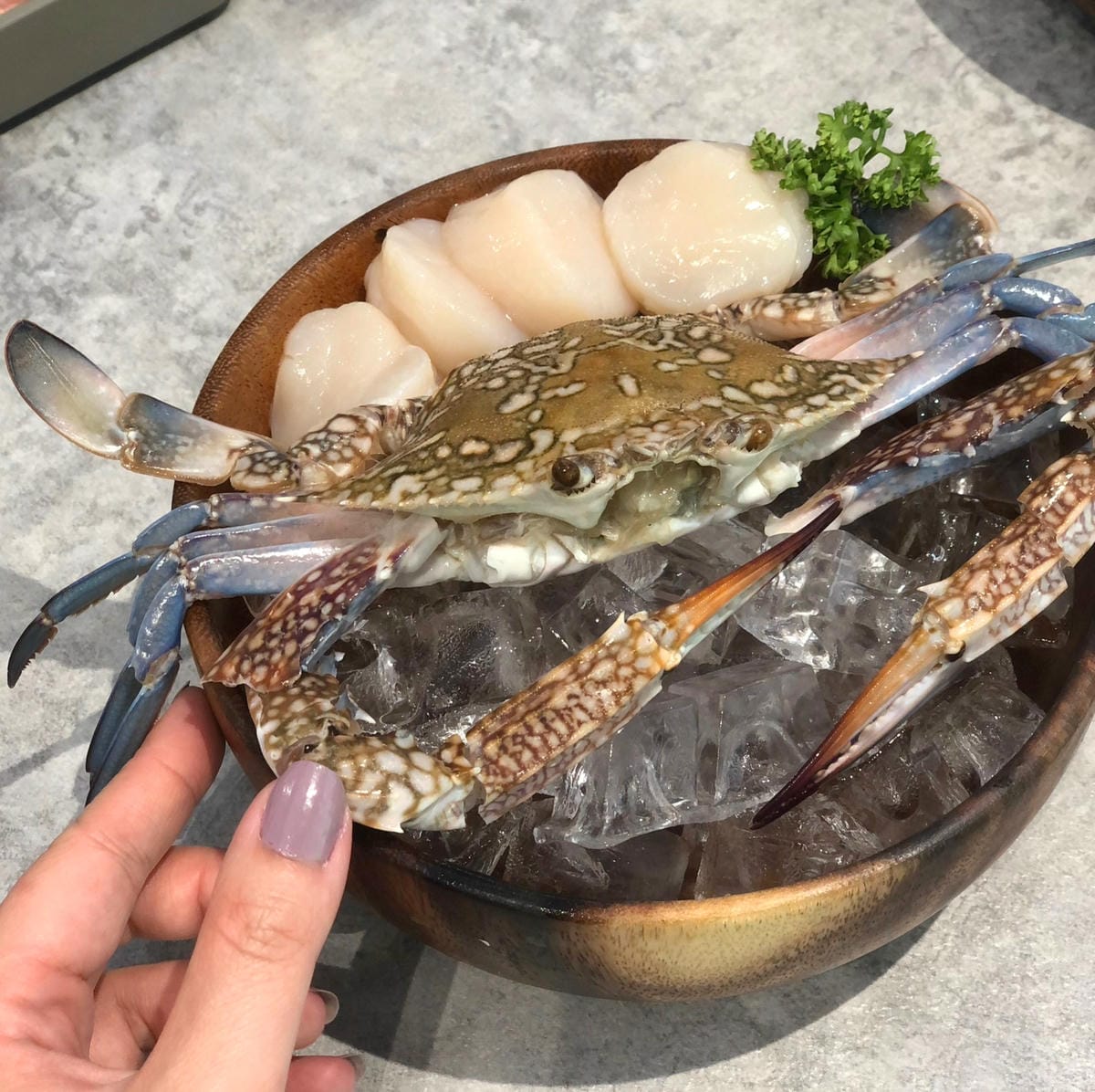 (已停業)桃園藝文特區:和牛火鍋壽喜燒799吃到飽!喜喜鍋 (已停業)桃園藝文特區:和牛火鍋壽喜燒799吃到飽!喜喜鍋