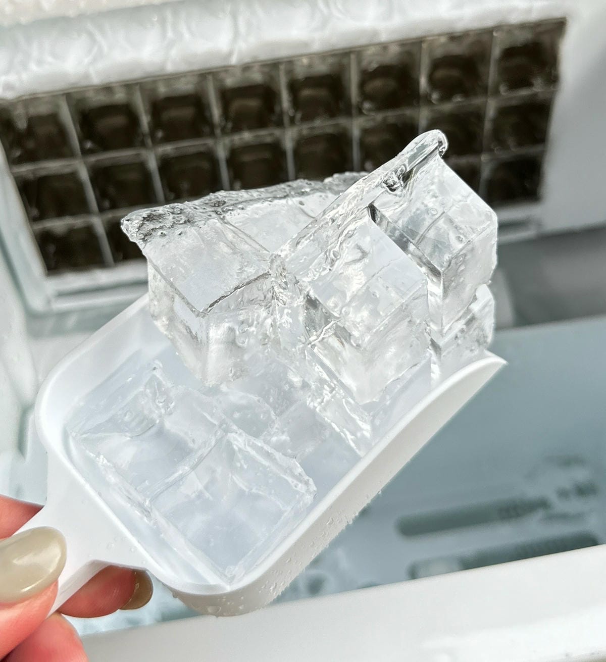 康馳製冰機評價:露營必備!15分鐘快速製冰【KOHZII 康 康馳製冰機評價:露營必備!15分鐘快速製冰【KOHZII 康